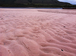 Playita de Mayupa en Canaima, con la arena rosada!